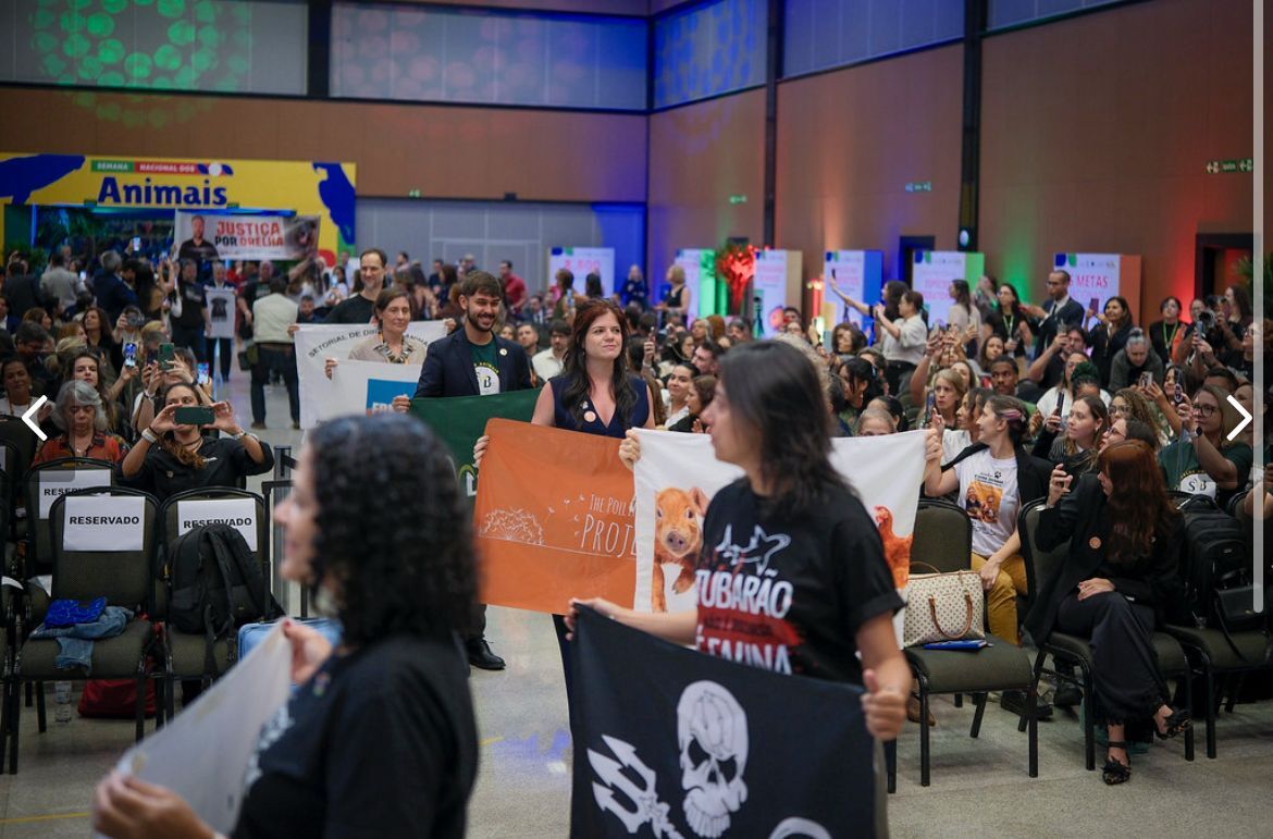 An artist in front a mural with arms open
