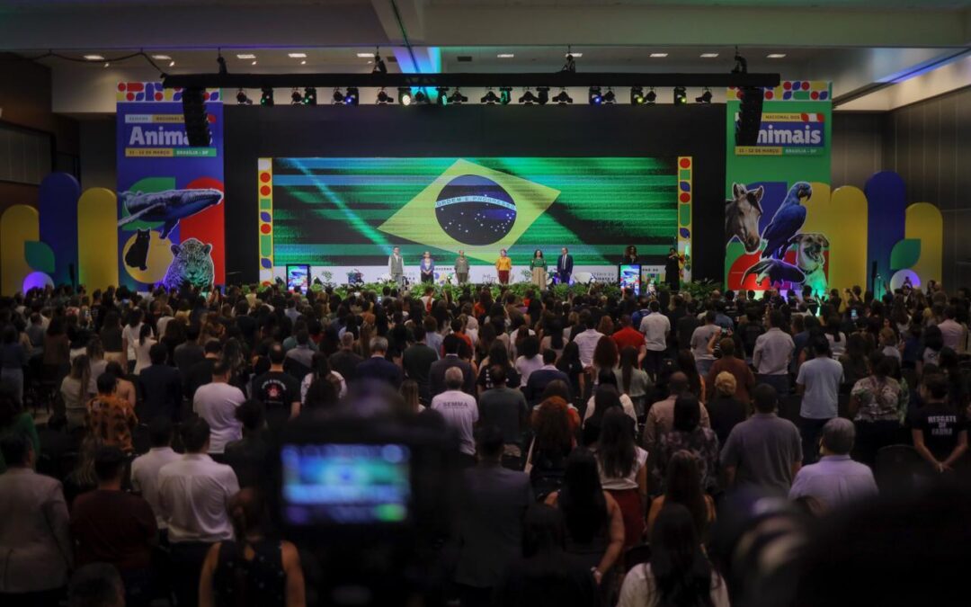 A Week That Changed the Game for Animals in Brazil