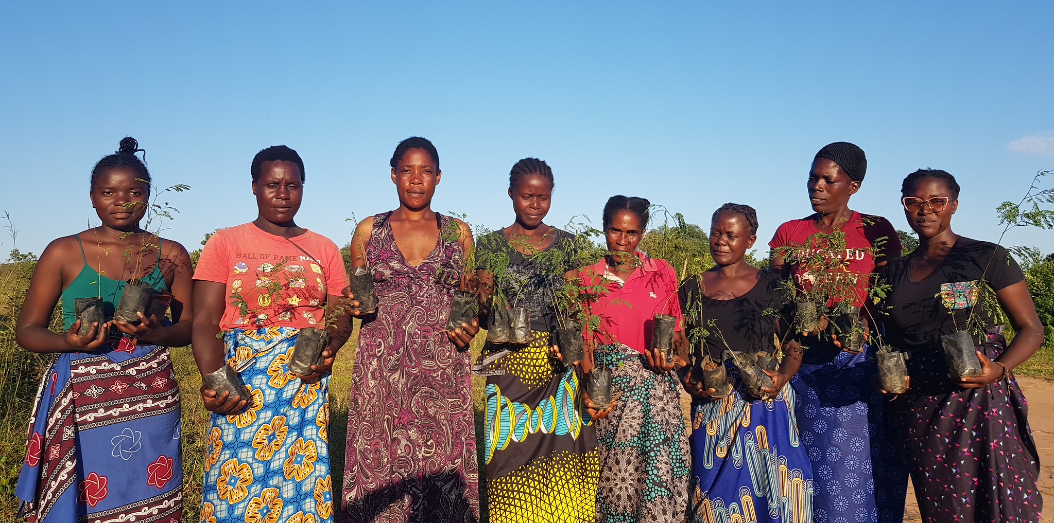 A group of young women with little trees ready to be planted