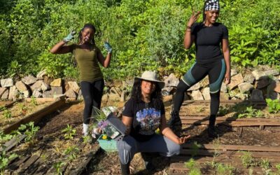 The Garden: Growing Food & Community in West Charlotte
