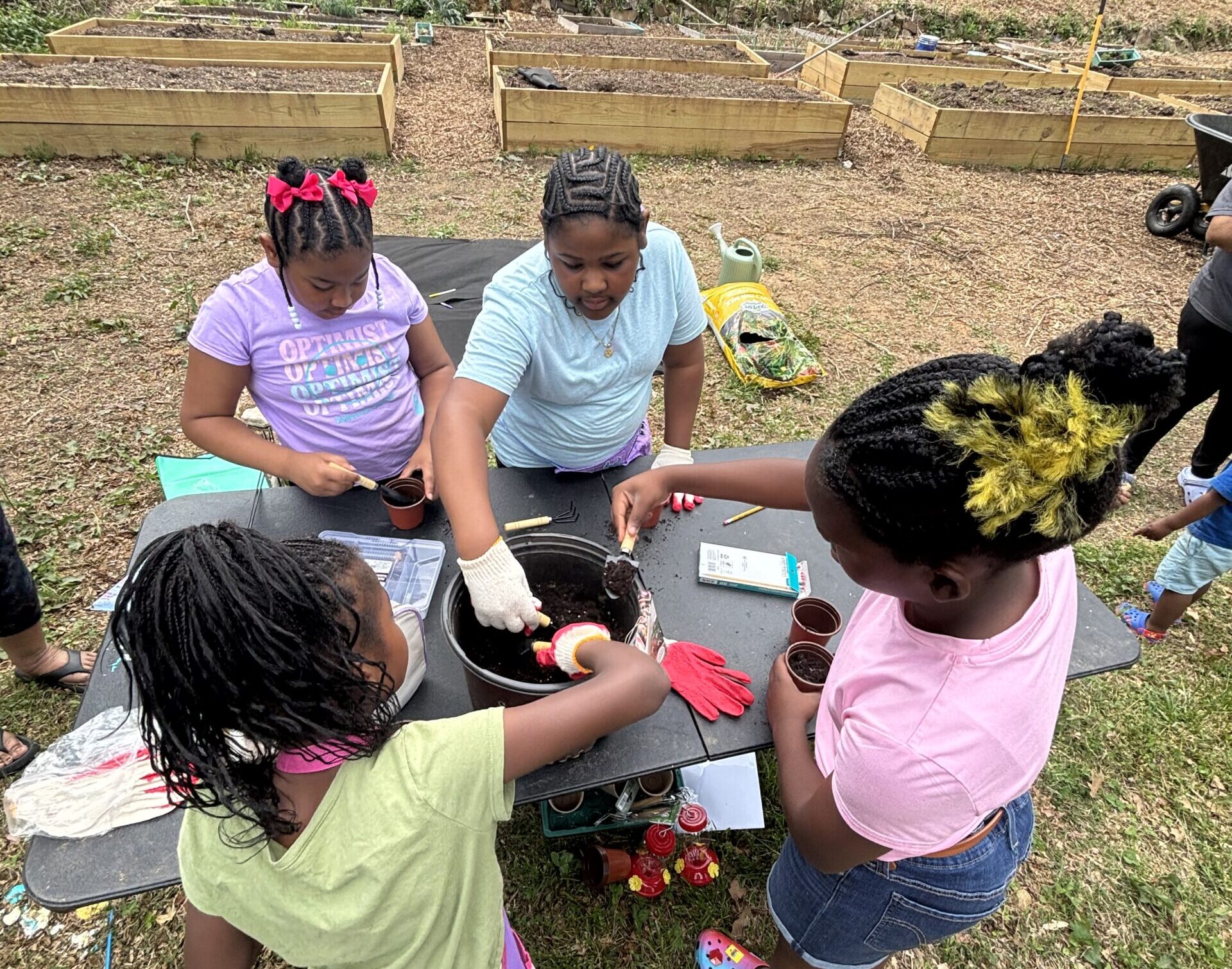 A group of students holding small plants ready to be planted
