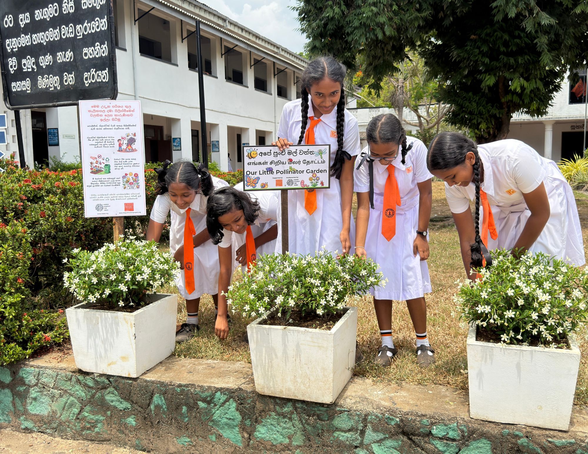 A group of students holding small plants ready to be planted