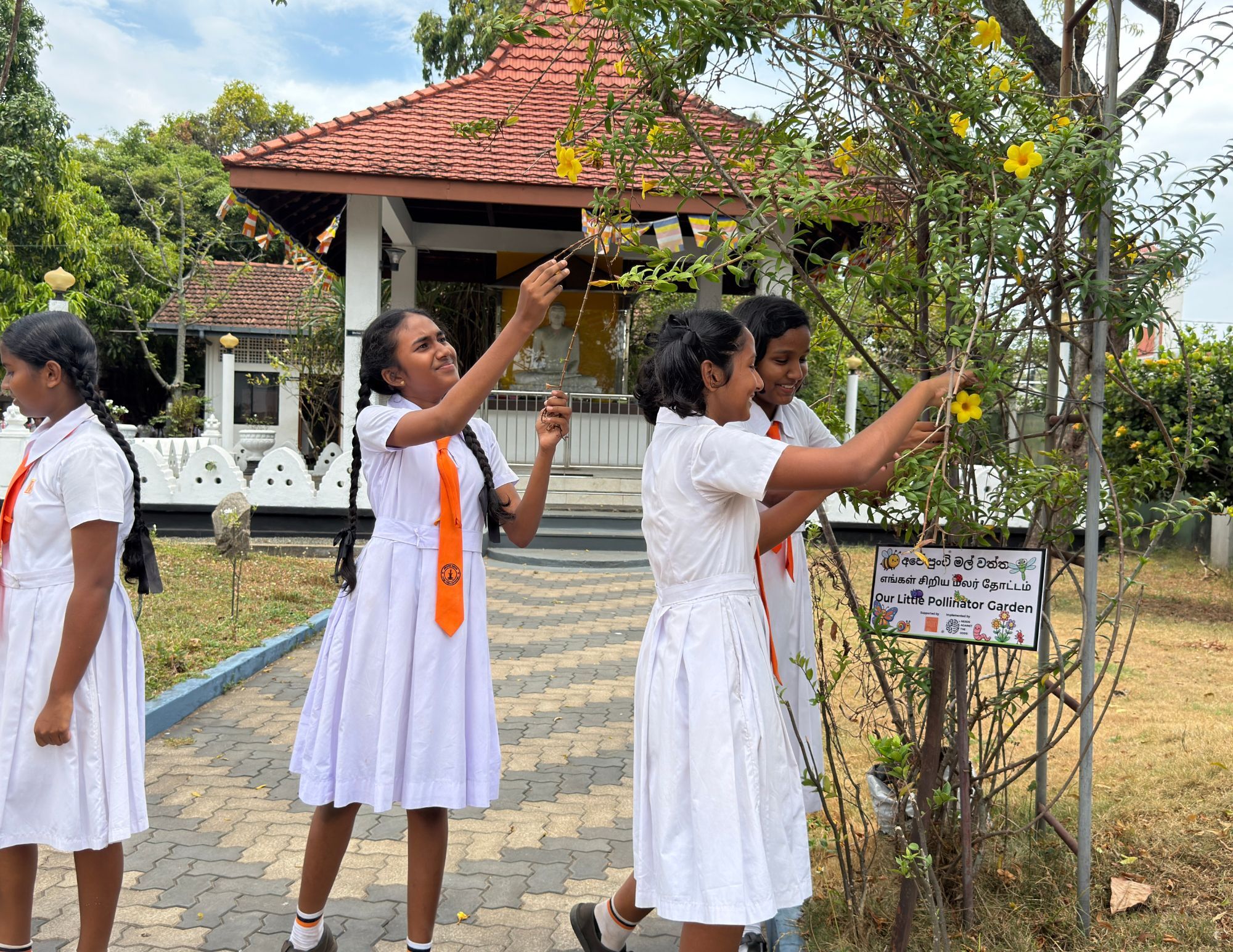 three women working in a vegetable garden and smiling