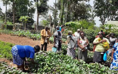 How One Grant Helped 1,280 Kenyans Eat Better