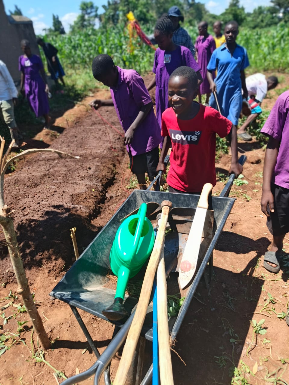 A young student working in the new garden